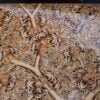 Mid century modern personalized gifts jewelry box paper mache-